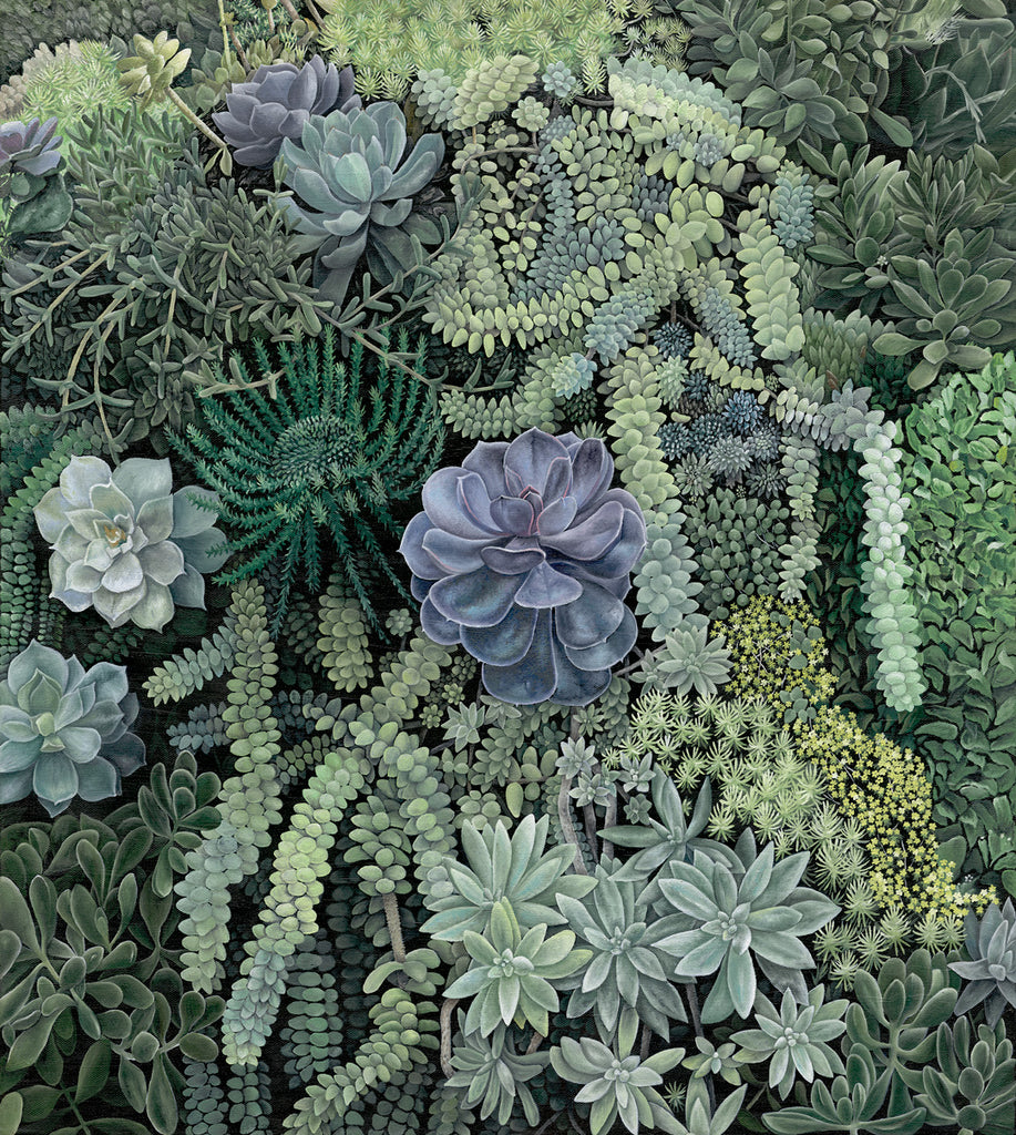 liz k succulents Seriously Succulent – Elizabeth Dodds Fine Art